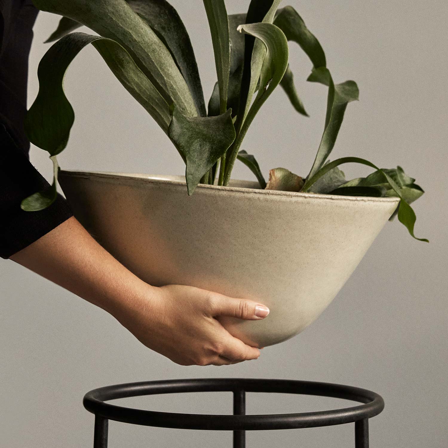 menu daiza pflanztopf xl pflanze herausnehmbar 92924