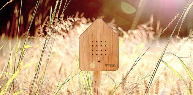 Relaxound Zwitscherbox Holz im Feld