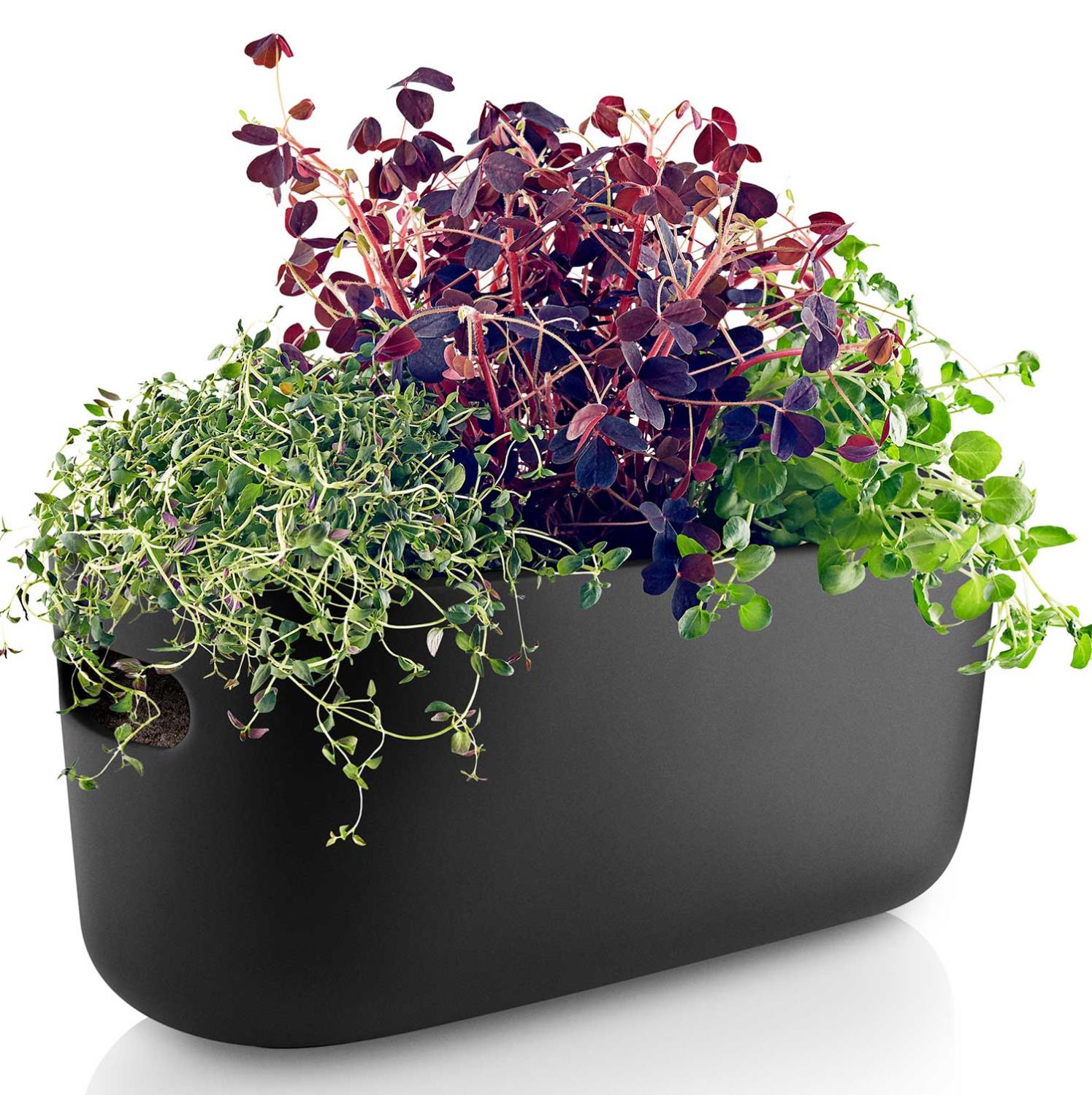 eva solo herb organizer schwarz 568169 2