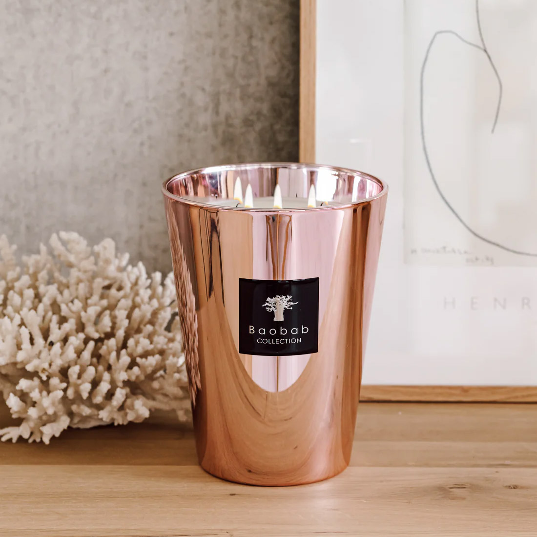 duftkerze baobab 97618