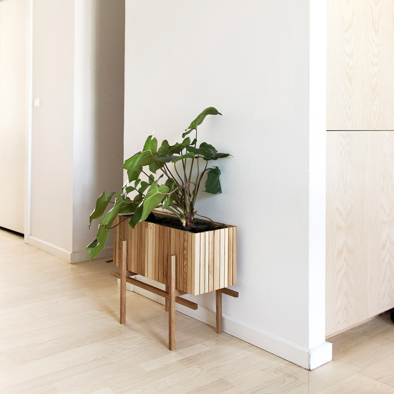 squarely grow wide mit gestell 77277