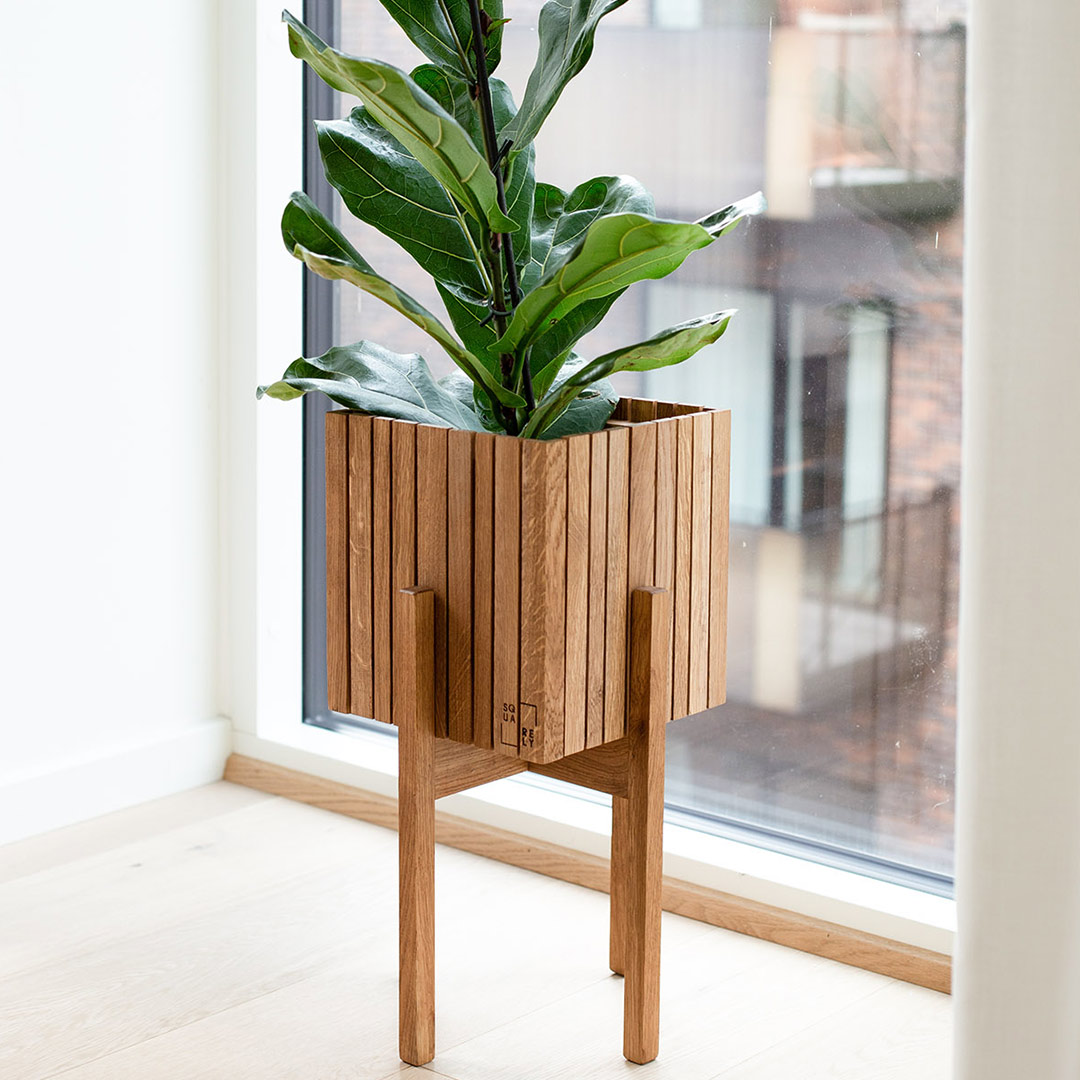 squarely grow on gestell stand on dark oak 77265