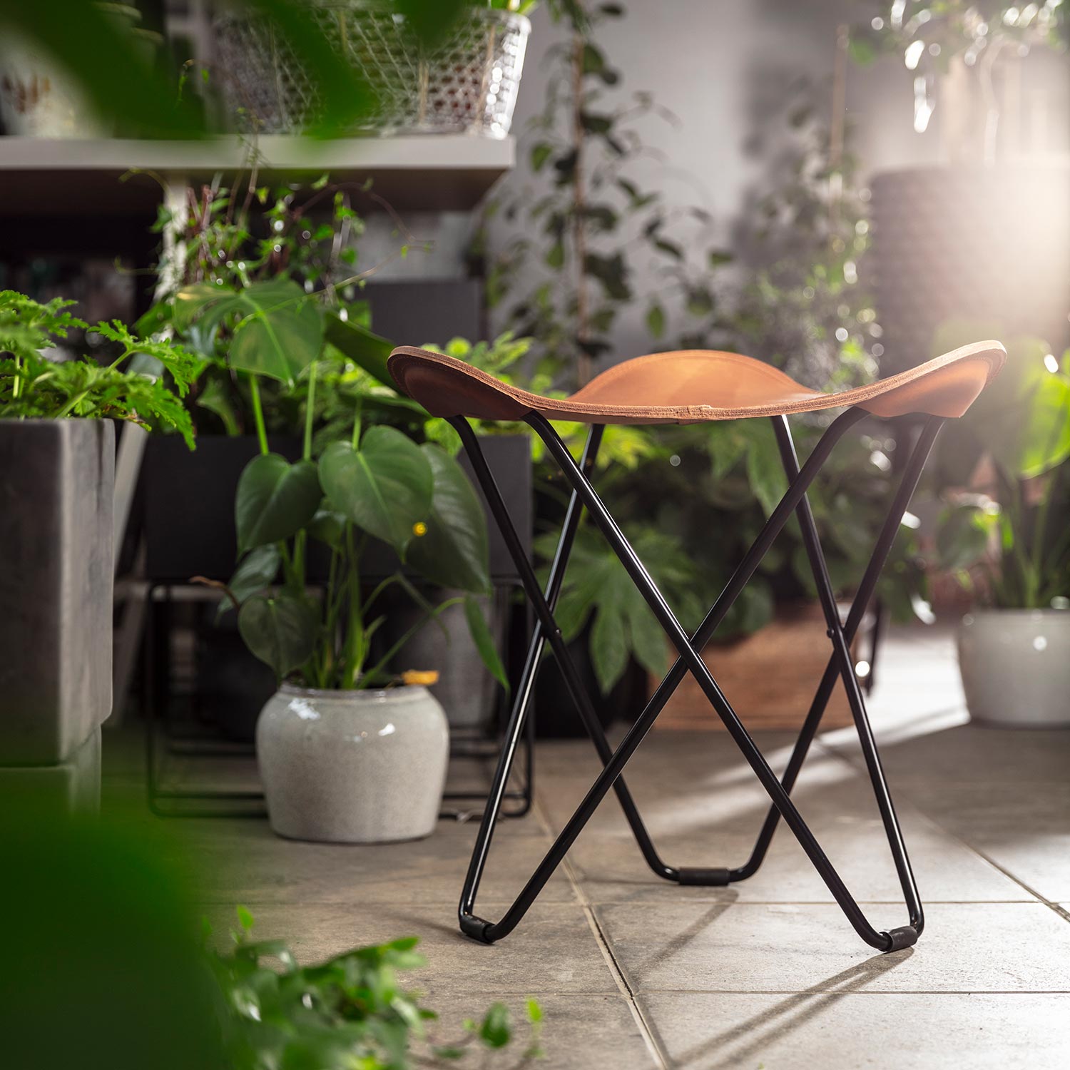 cuero flying gosse pampa 67931