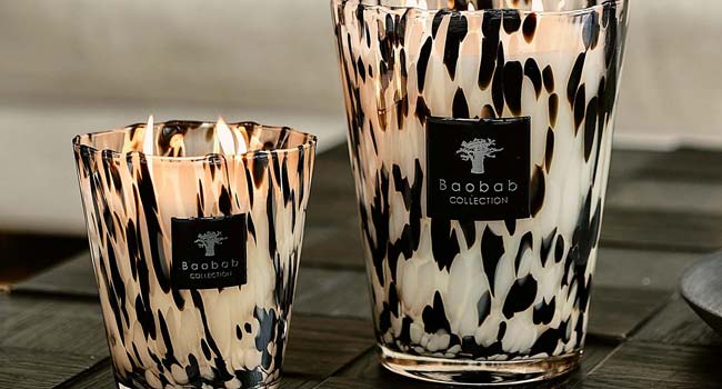 Baobab Kerzen Black Pearls Duftkerze groß und klein auf Tisch