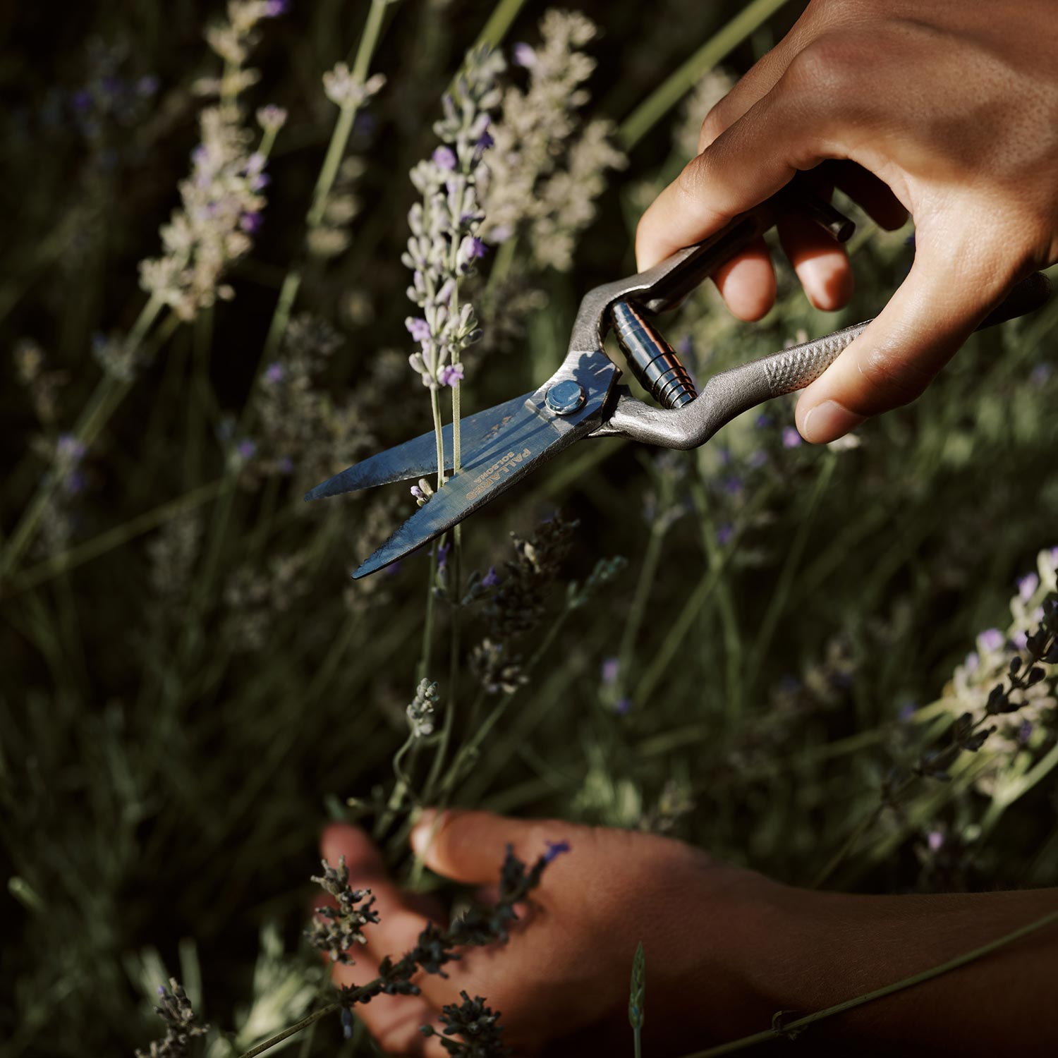 menu pallares gartenschere blumen schneiden 93302