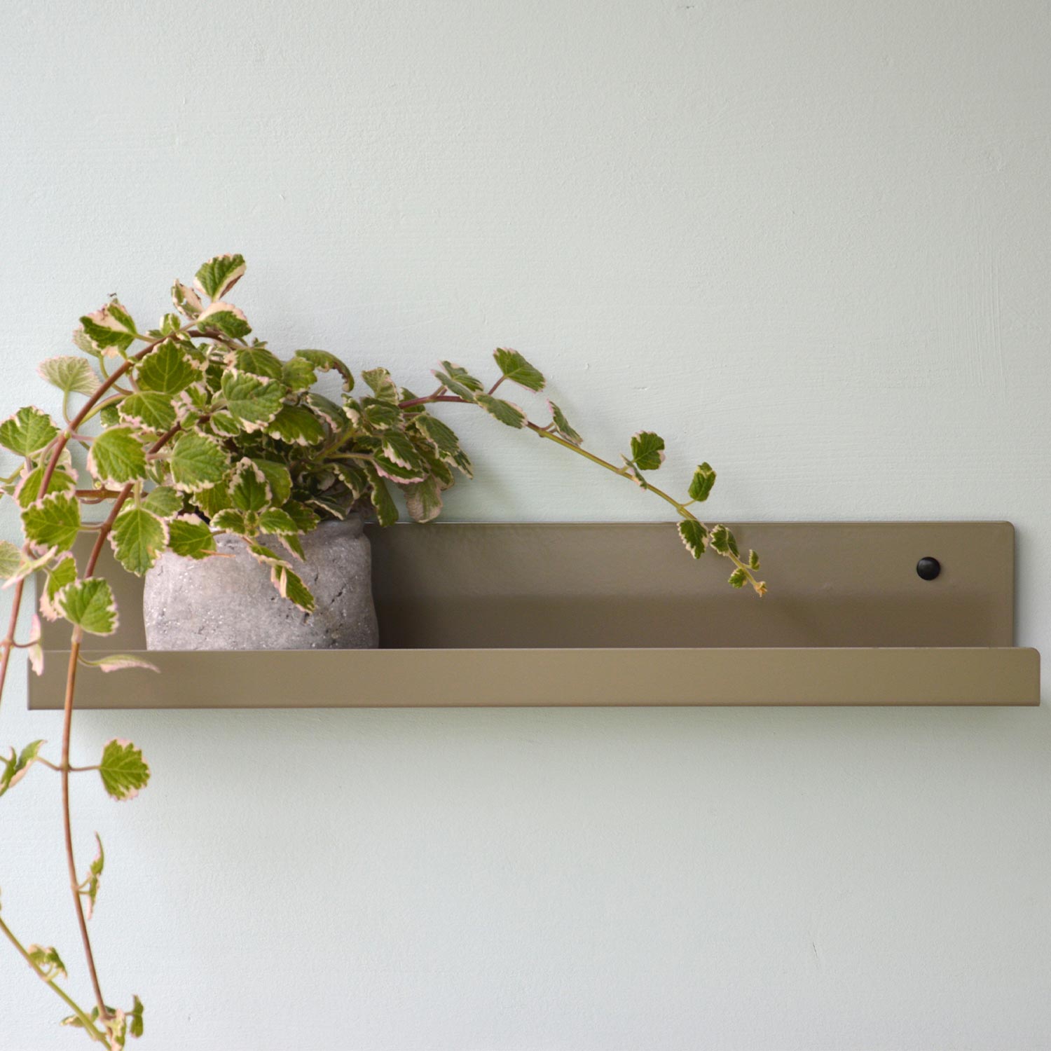 jan kurtz wandregal jill olivegrau 72745