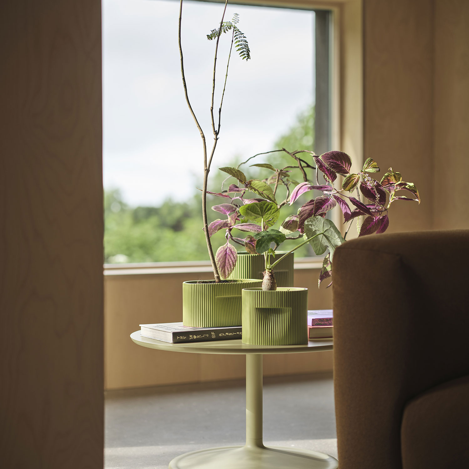 muuto Ridge moosgruen blumentopf mit blumen 105332