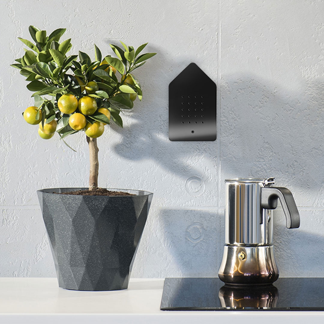 relaxound birdybox klassik 67866