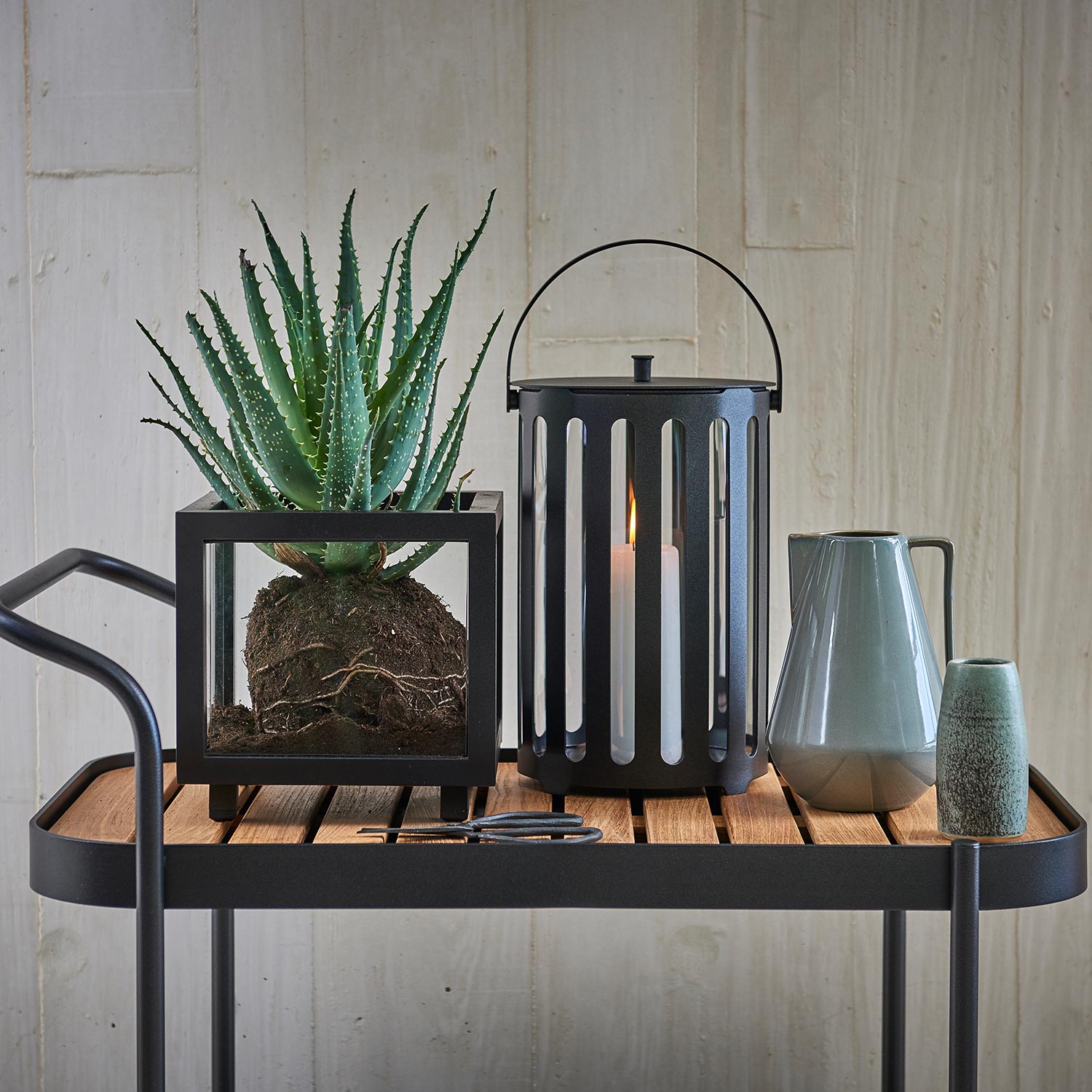 cane line roll barwagen schwarz pflane 52908