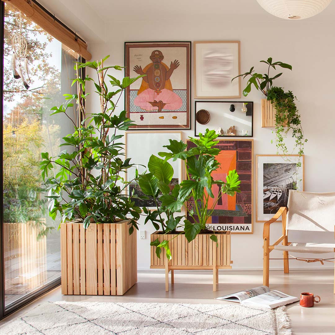 squarely growwide growbig innen 77319