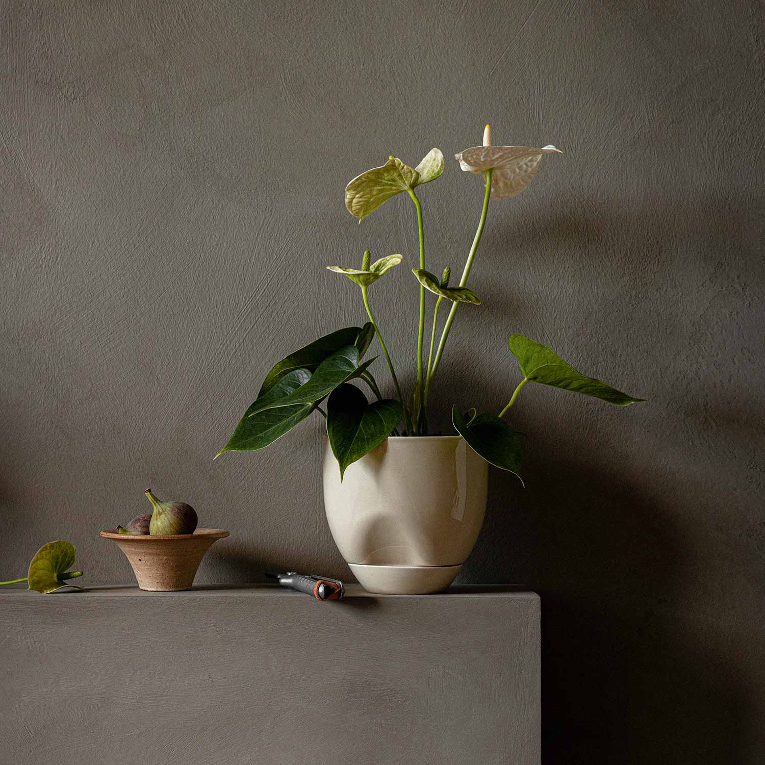 menu hydrous blumentopf aschgrau gross pflanze 92972