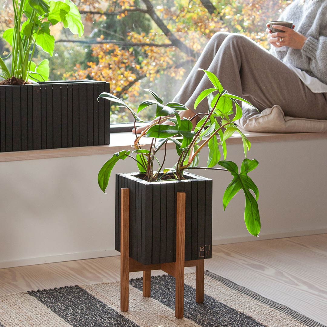 squarely grow on gestell 77263