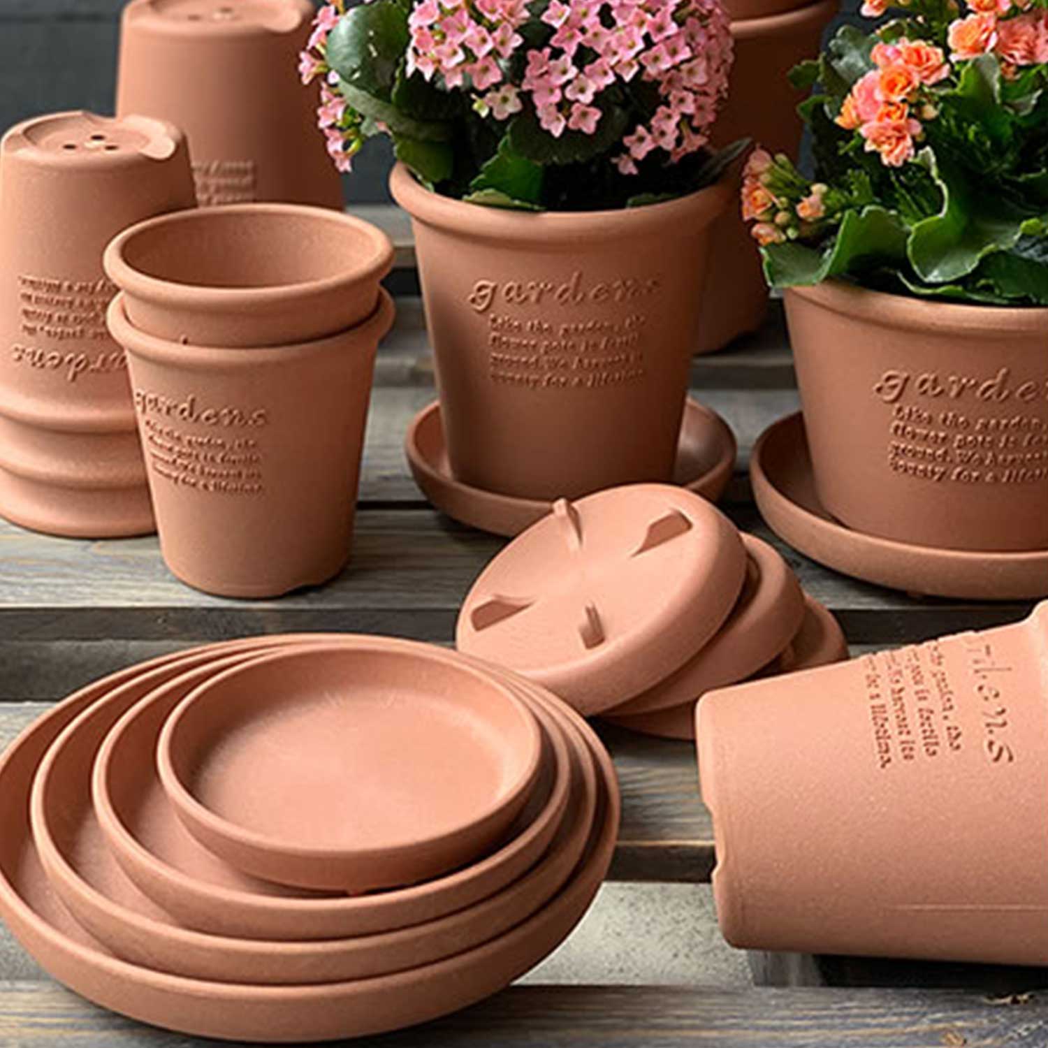 Hachiman - Eco Plate Round Type #8 senf