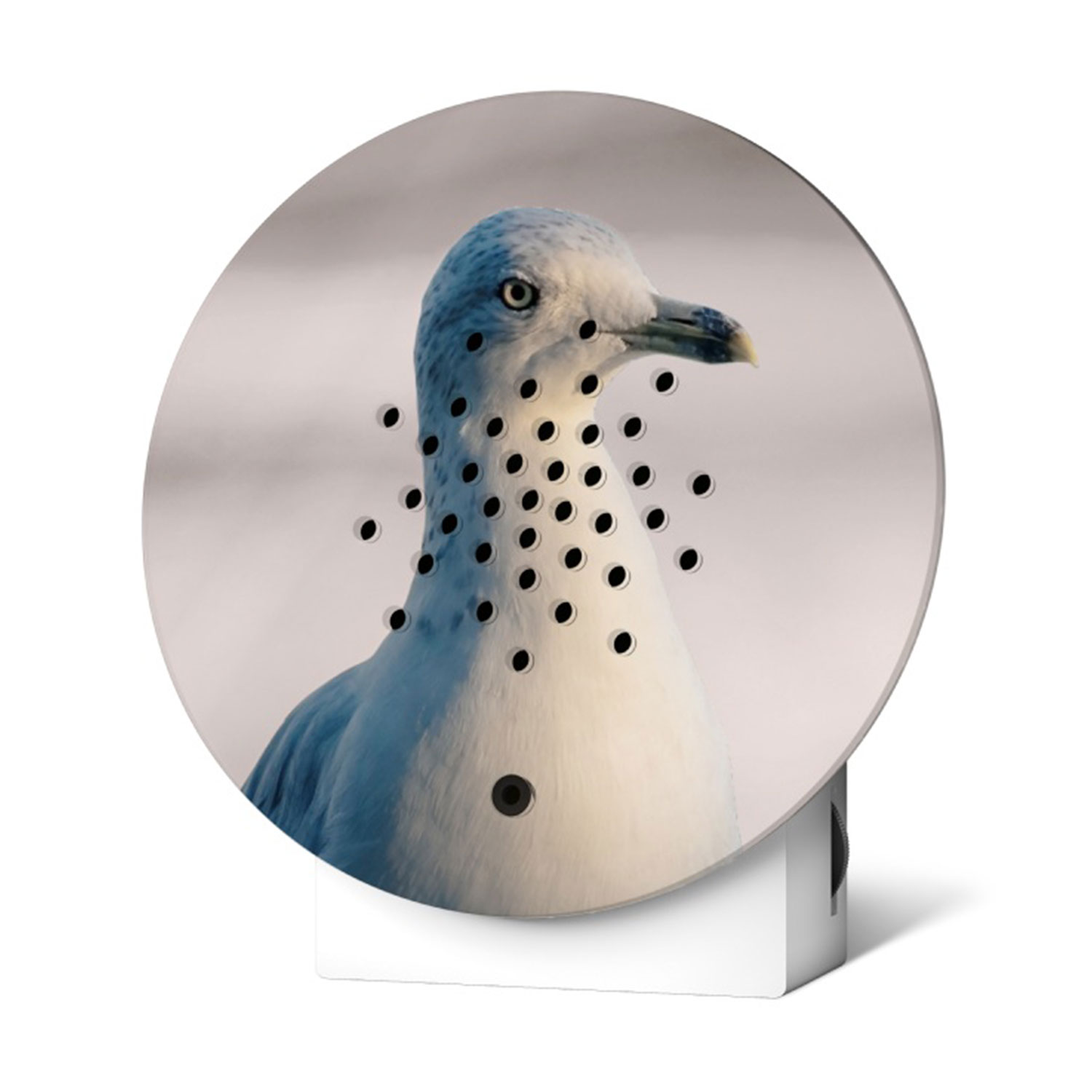 Relaxound Limited Edition Fall 2024 Oceanbox White Seagull 103673