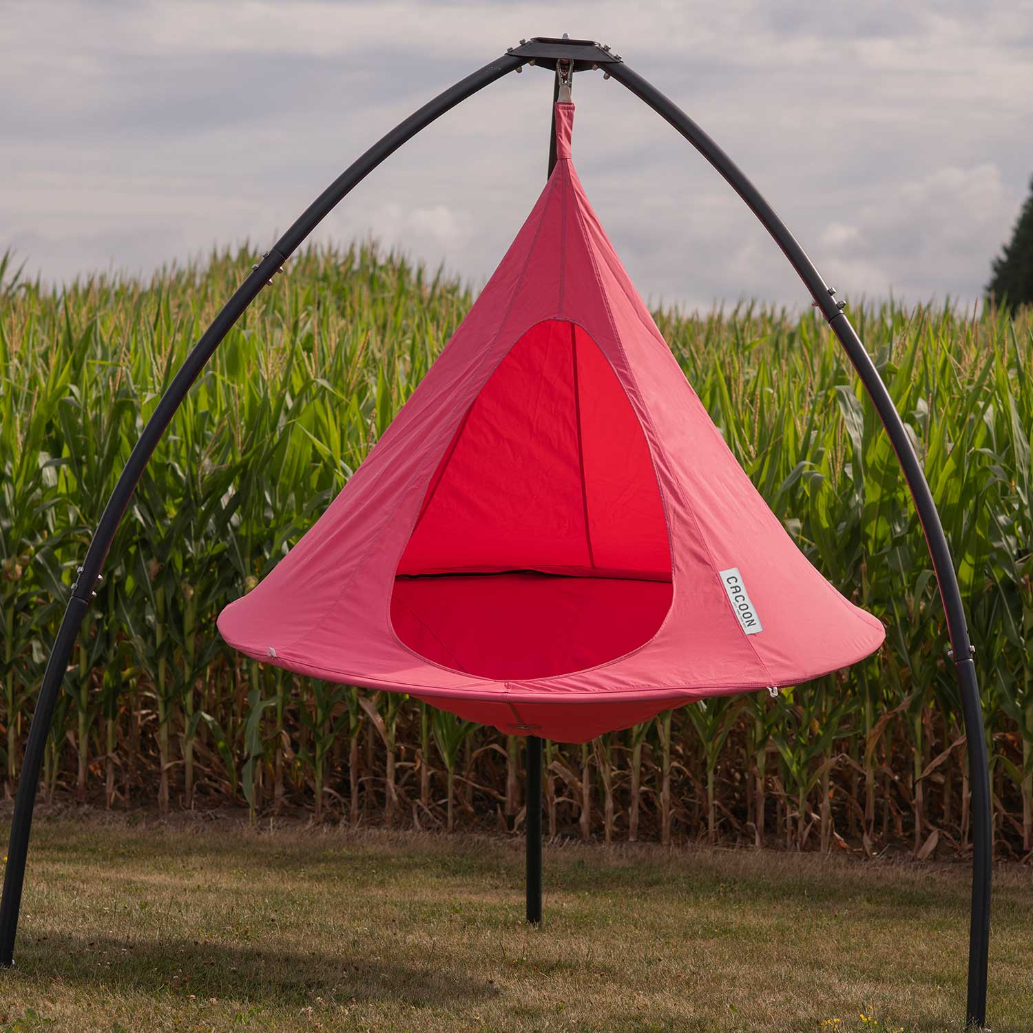 cacoon single CACSCR hanegesessel 92102