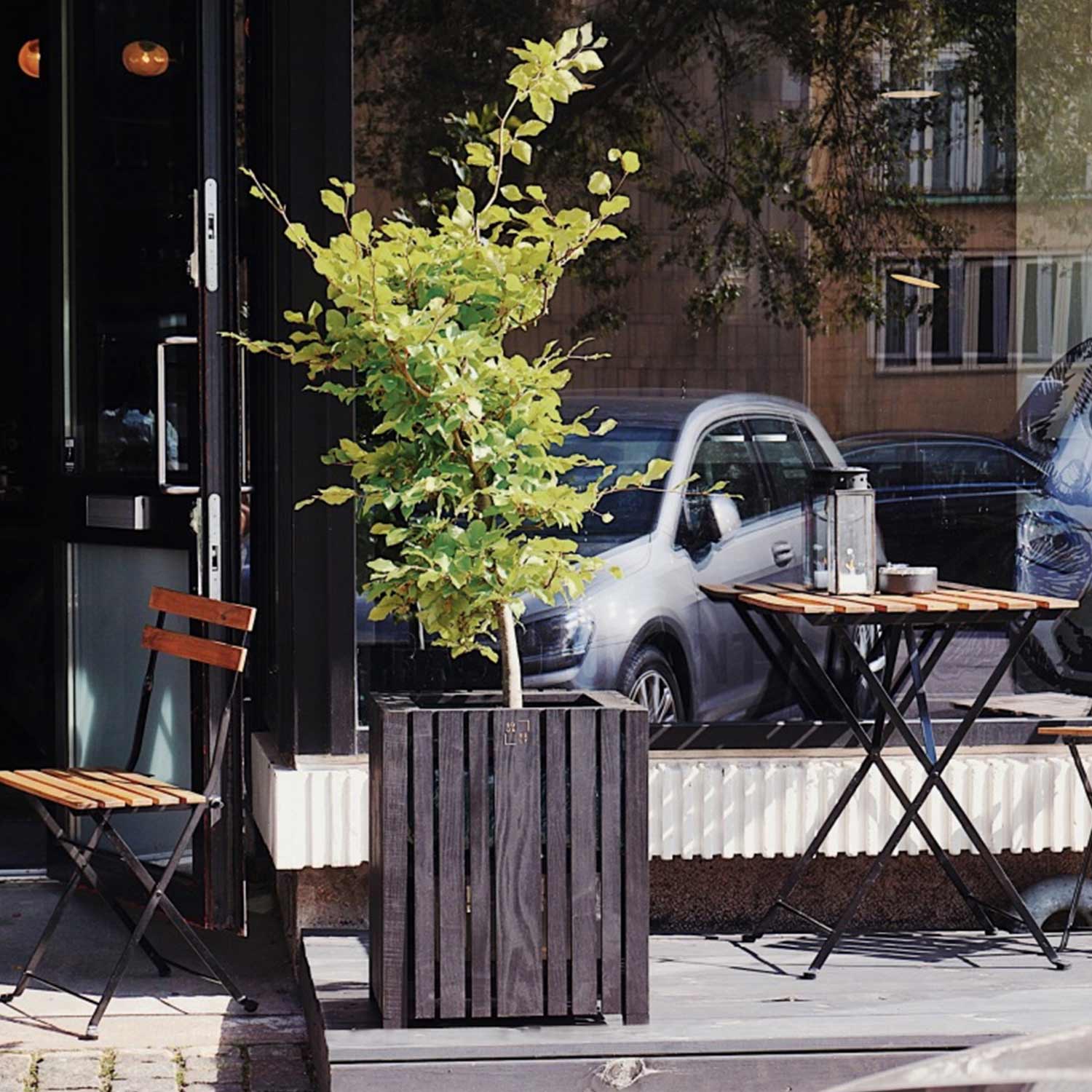 squarely growbig schwarz outdoor 77311