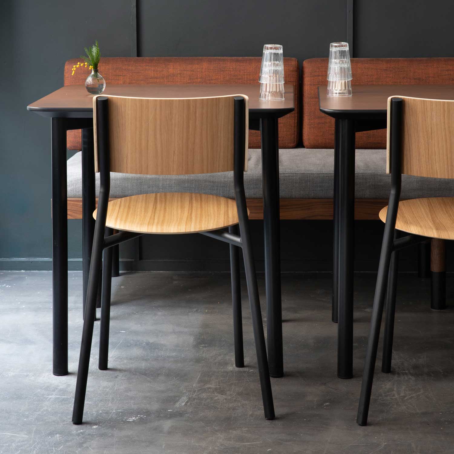 Tiptoe - SSD Stuhl öko-zertifiziert graphitschwarz/Eiche