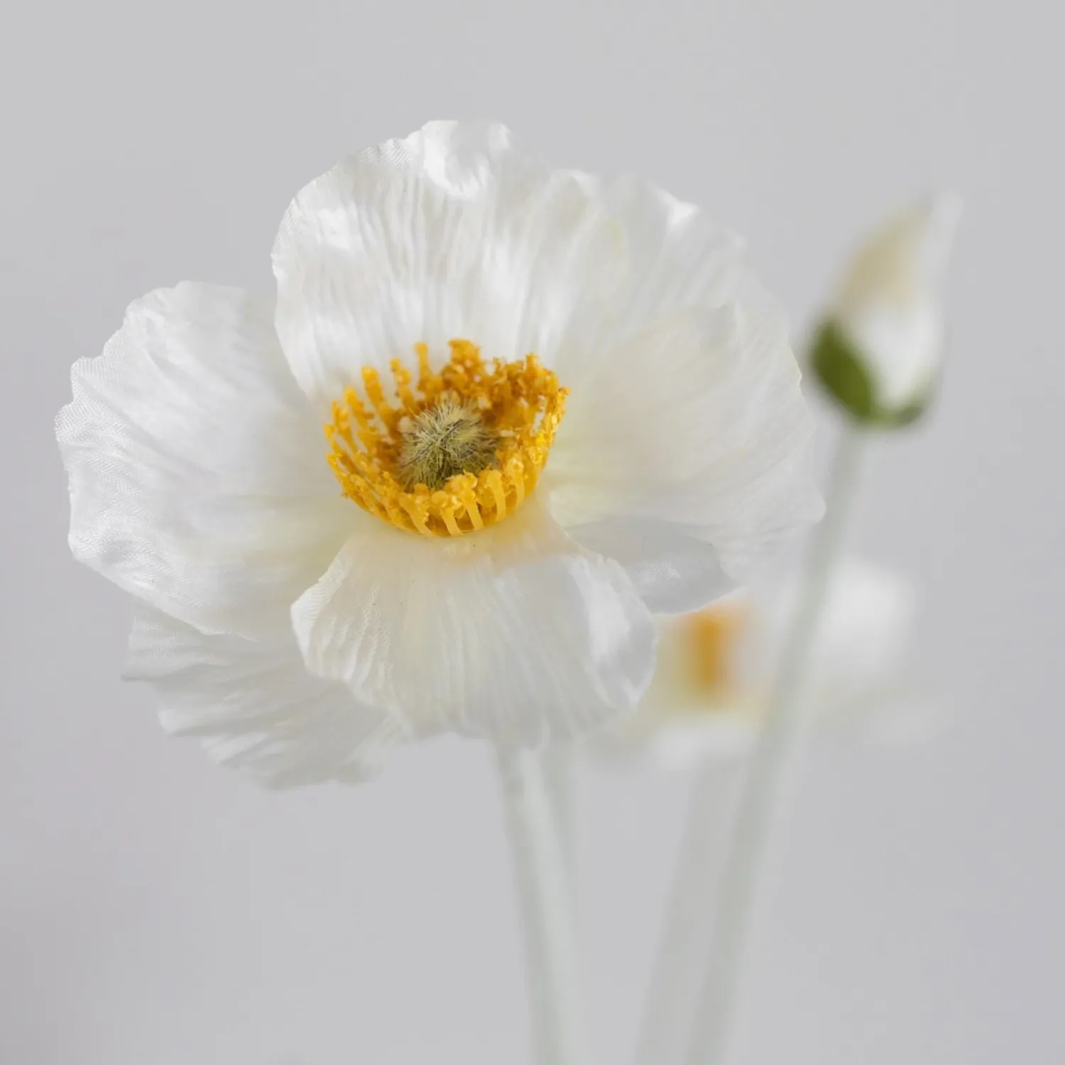 BLOOM OBJECTS - Mohn Kunstblume cream