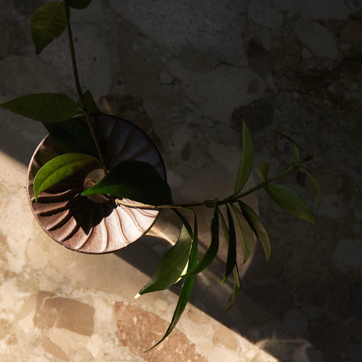 menu cresco propagation vase pflanze 92916