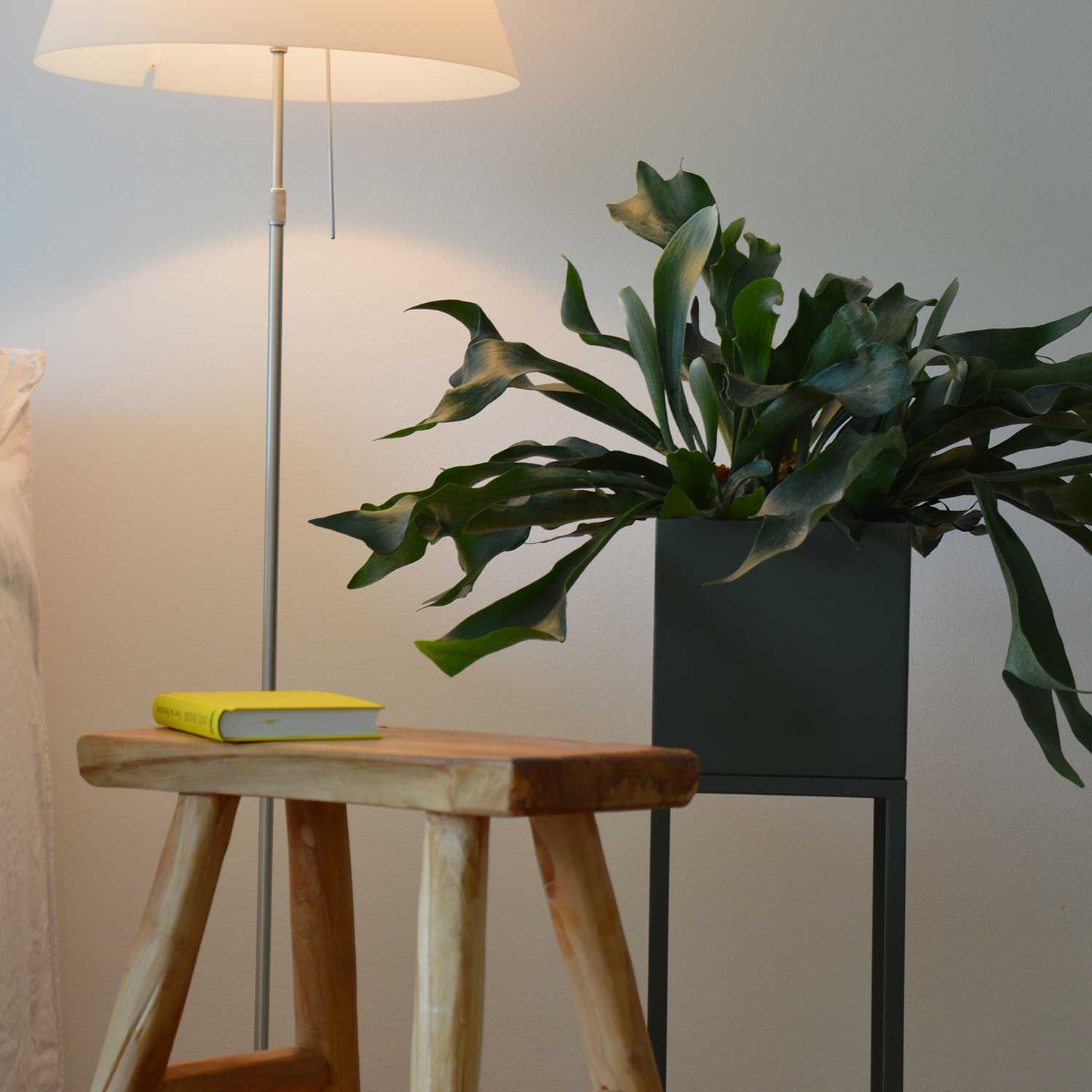 Jan Kurtz - PODZ Pflanzkübel 20x20x65 cm zinkgelb