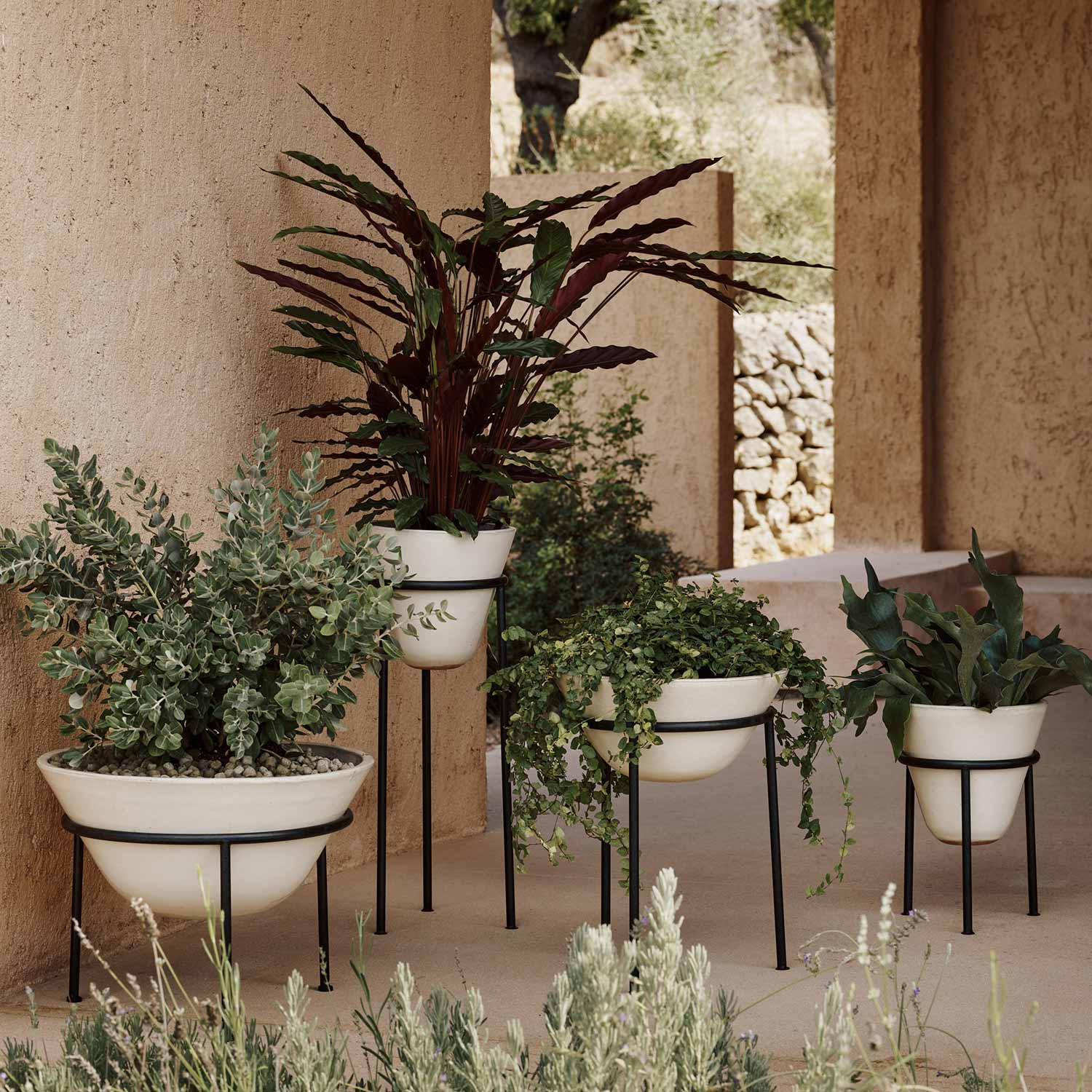 menu daiza pflanztopf garten uebersicht 92928