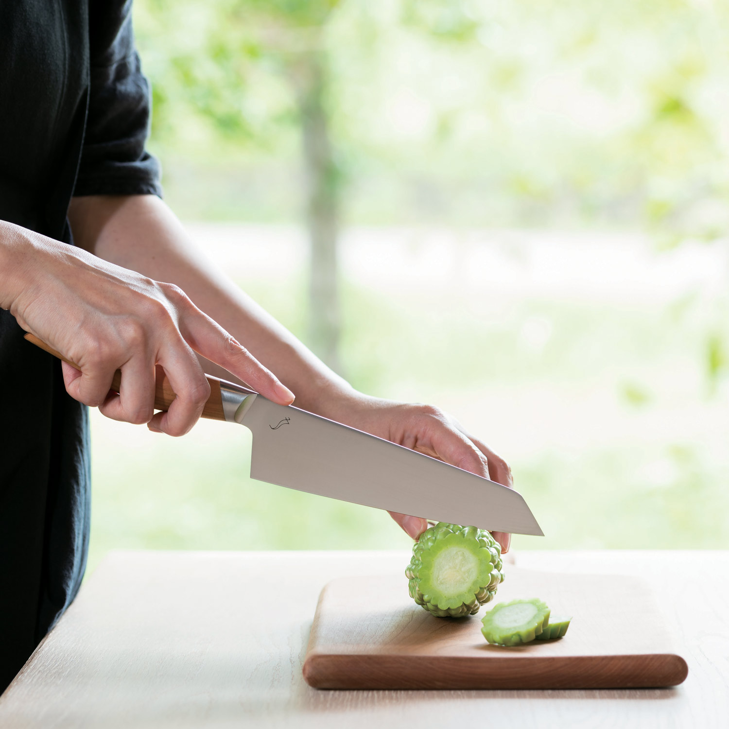 shp kasane ambiente 105821