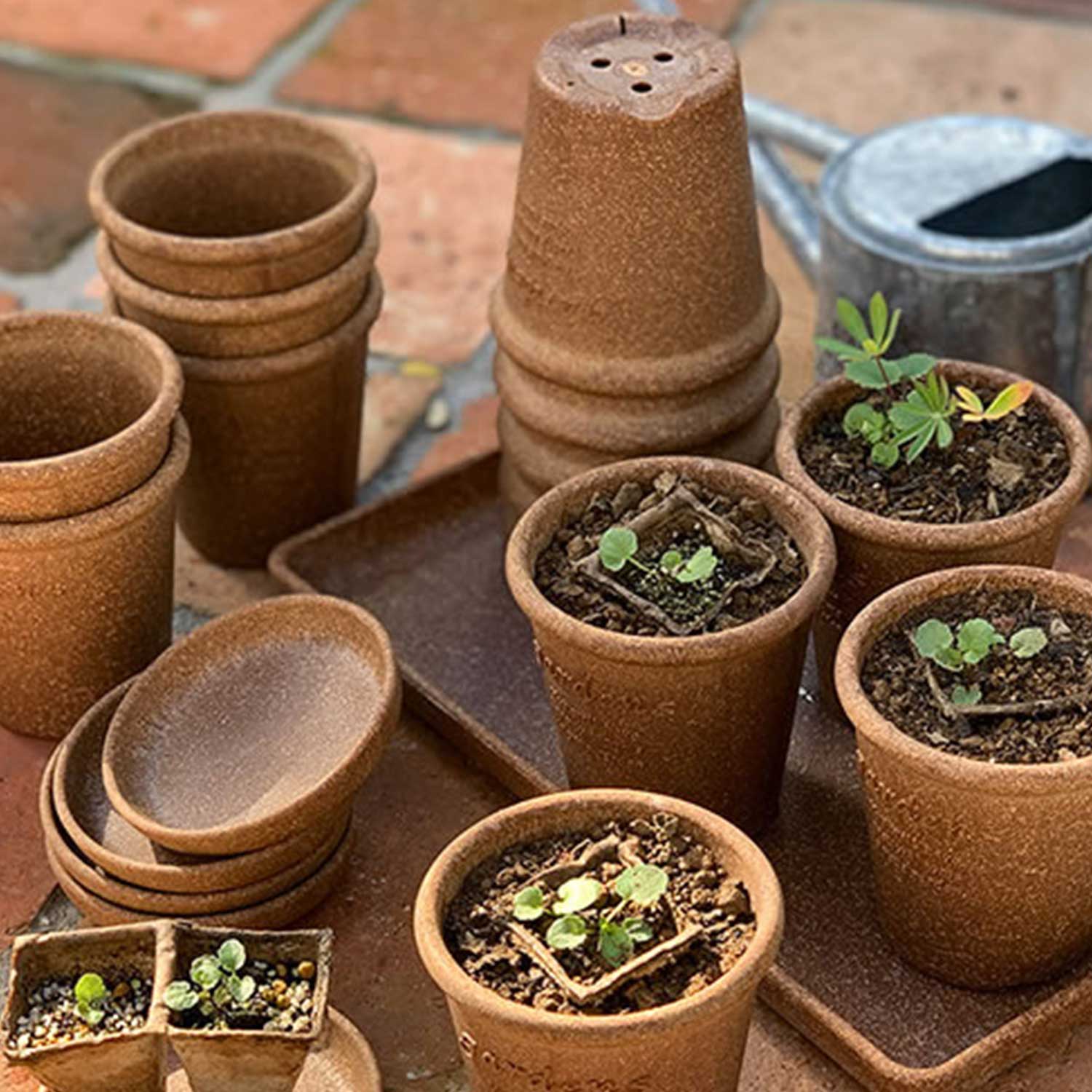 Hachiman - Eco Pot Round Type #8 senf