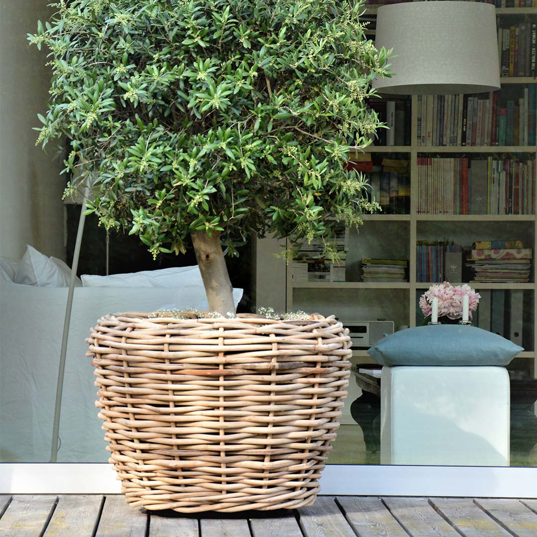 jan kurtz palau pflanzkorb 78172