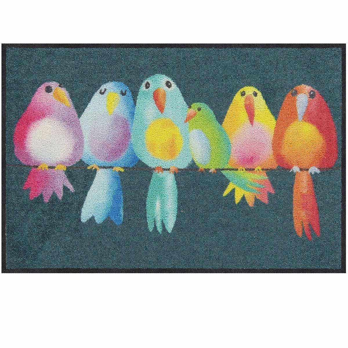 shop SLD2508 050x075A 100542