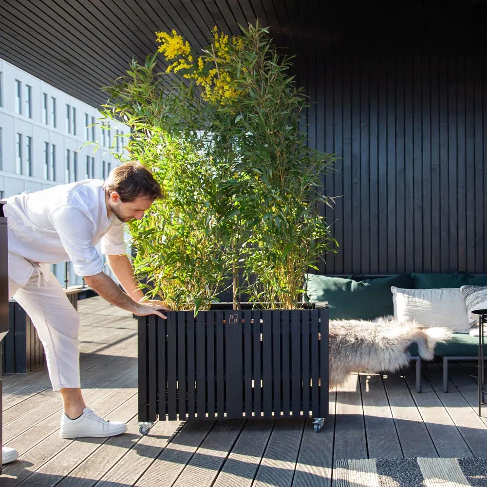 growLarge squarely 83428