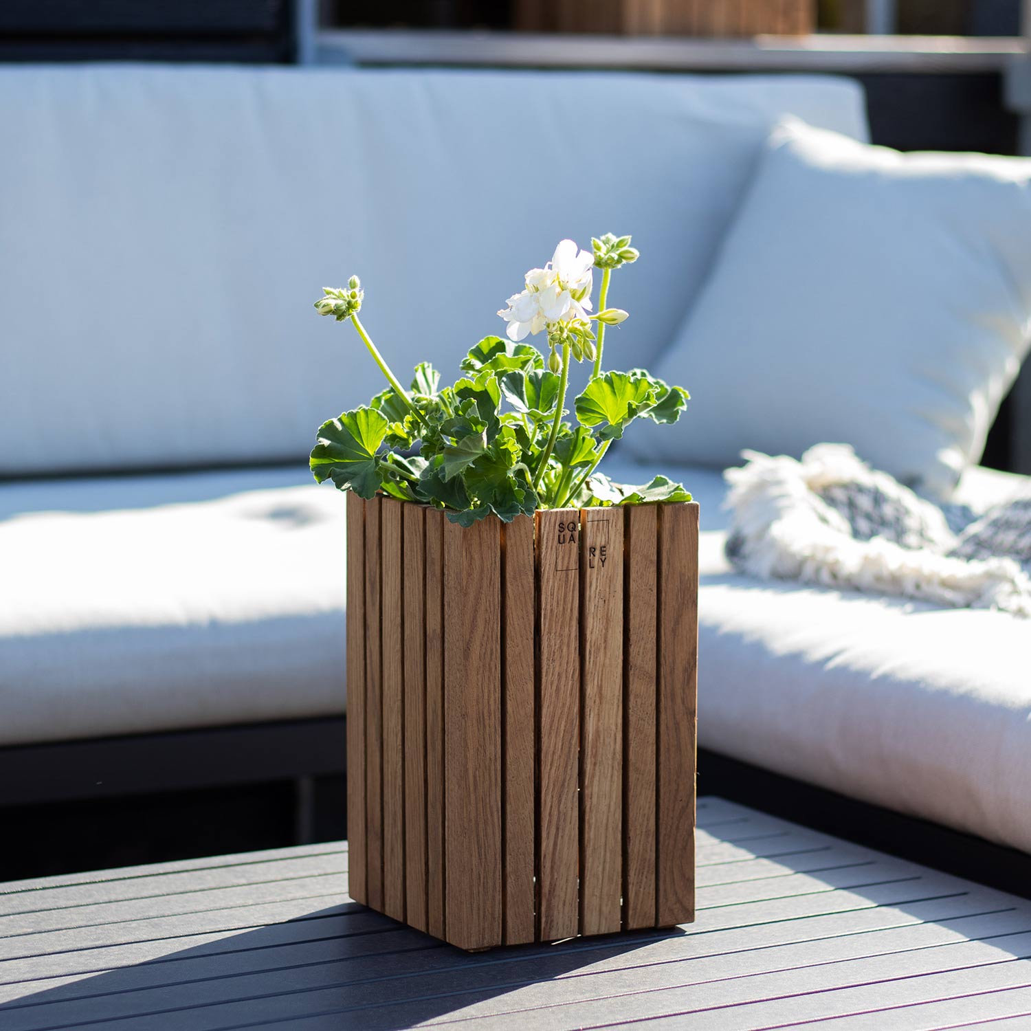 squarely grow small blumentopf 77211