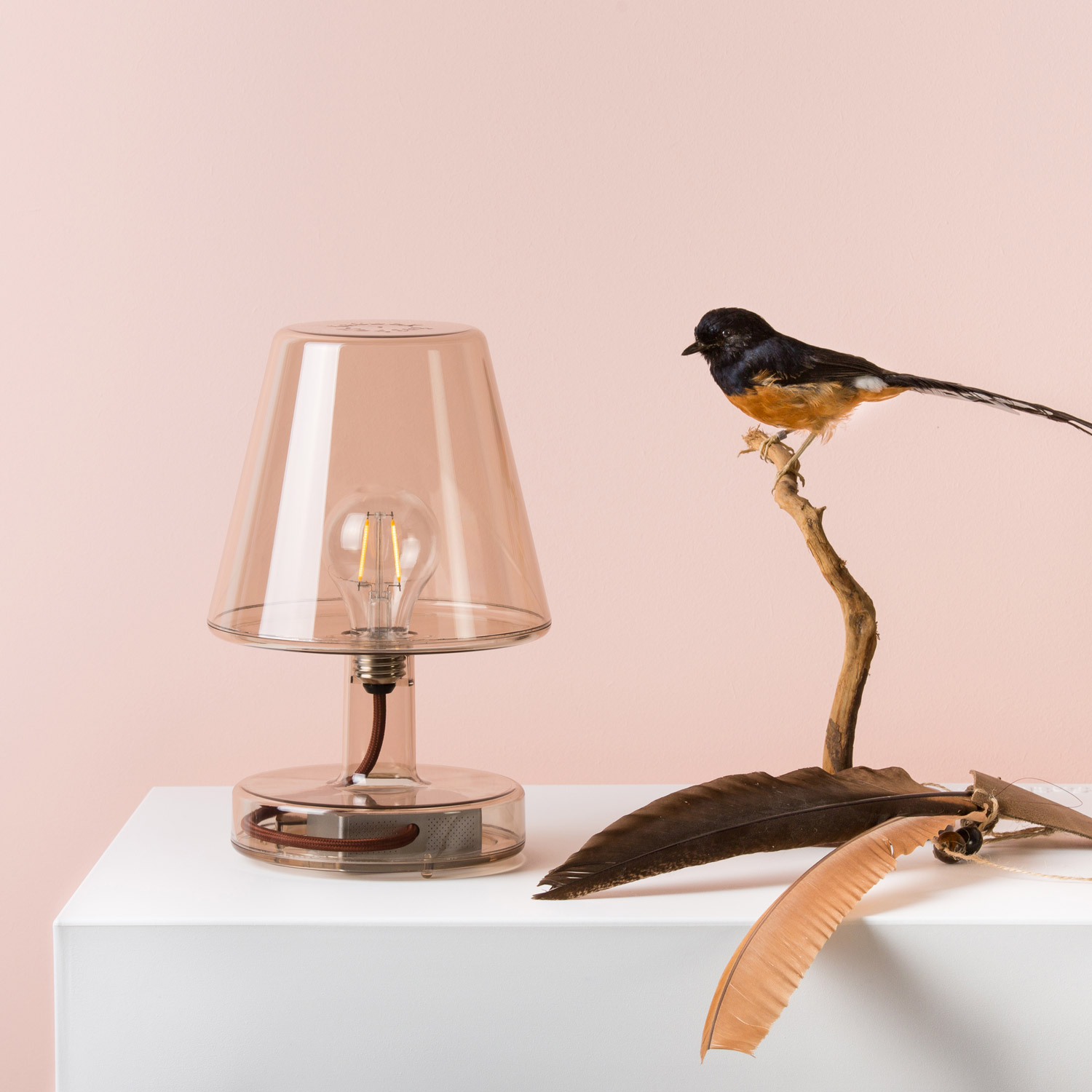 FATBOY Transloetje 7 89834