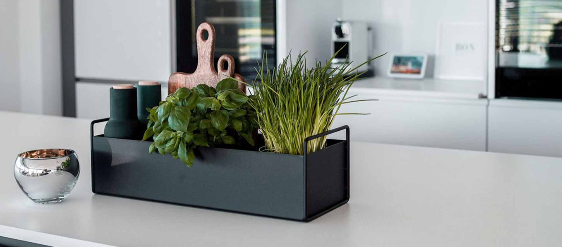 Kategorie Headerbanner Green Living