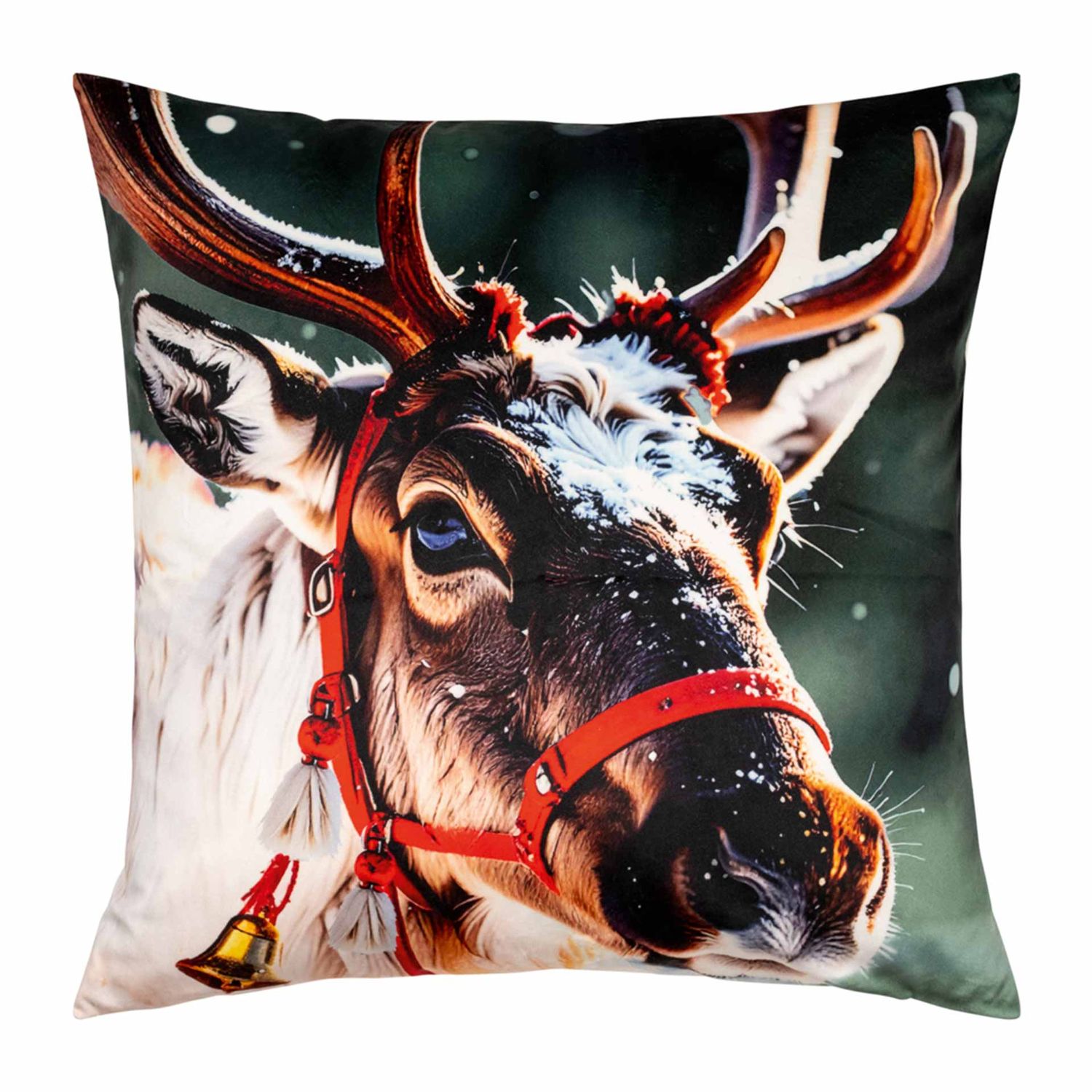 pad - Rudi Kissenhülle