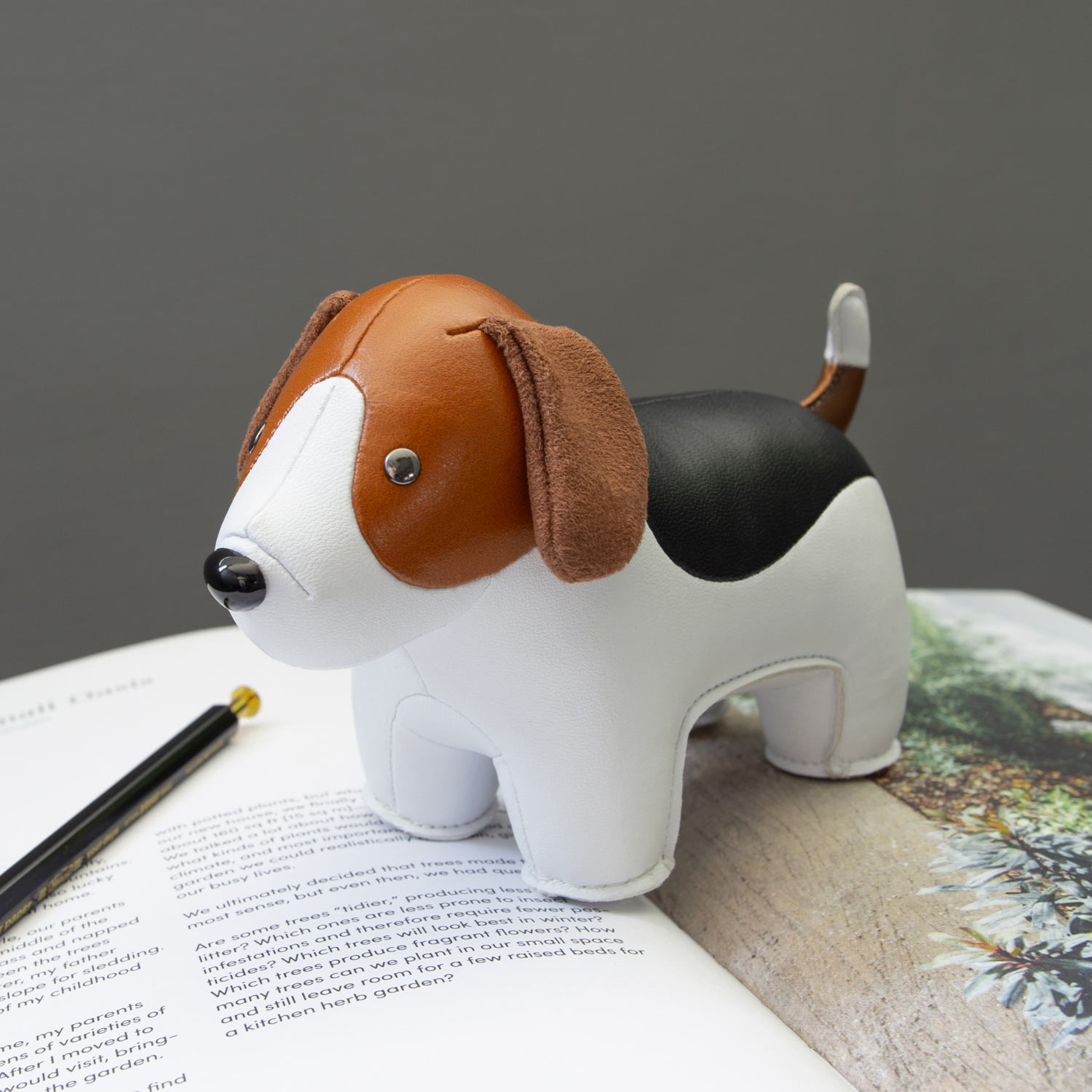 shop zny ZSPV0153 0110 5 104744