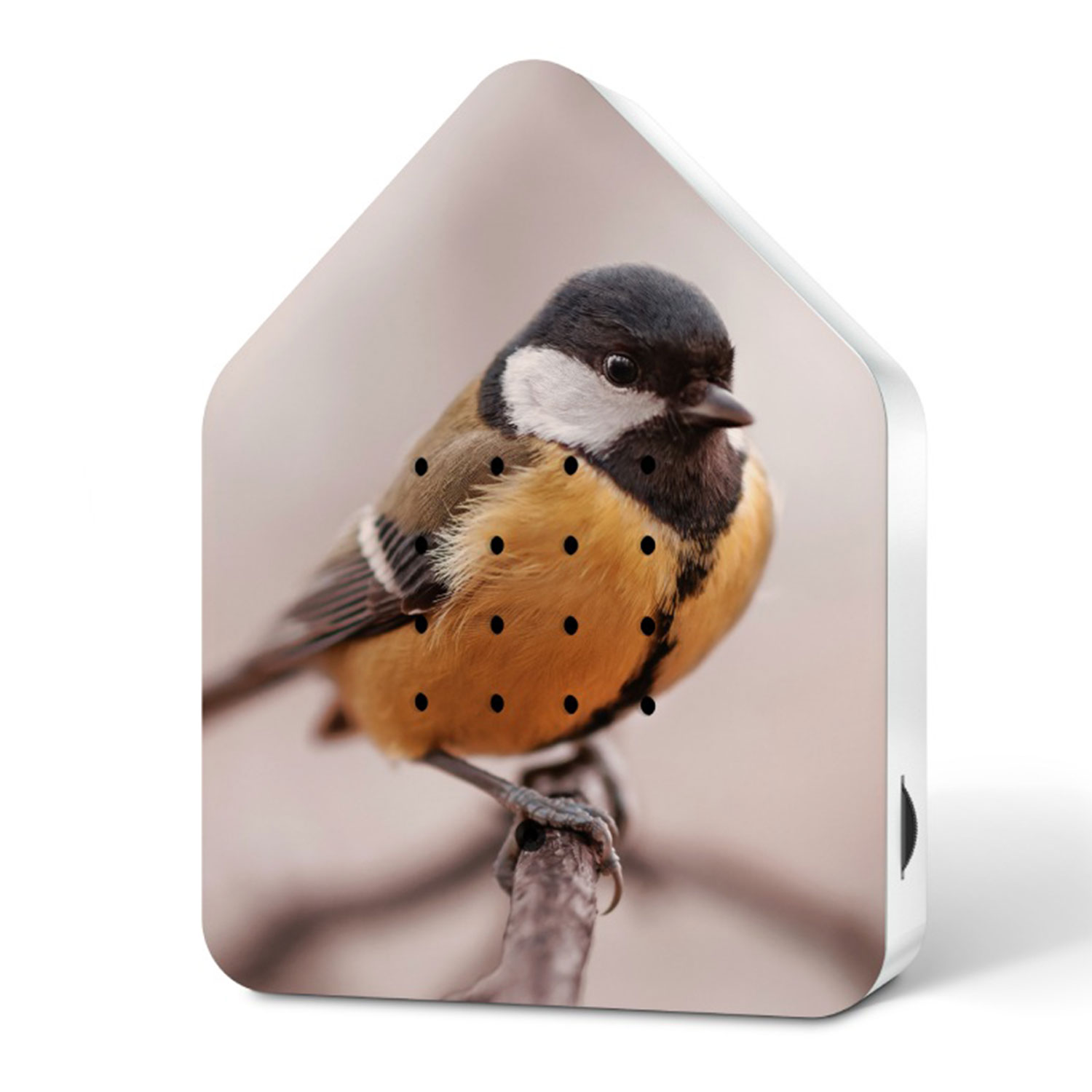 Relaxound Limited Edition Fall 2024 Zwitscherbox Great Tit 103672
