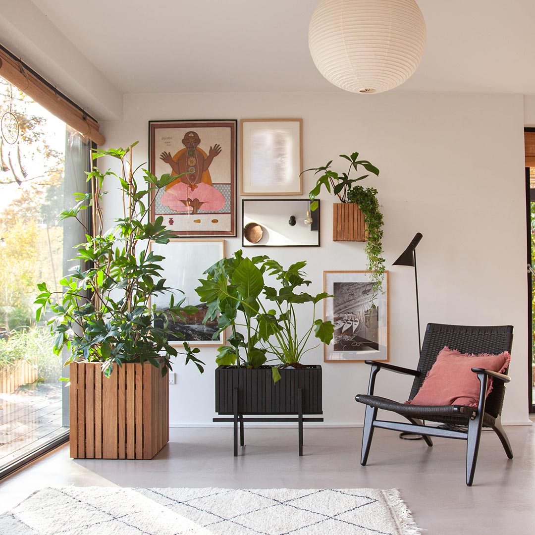 squarely growbig growwide indoor 77317