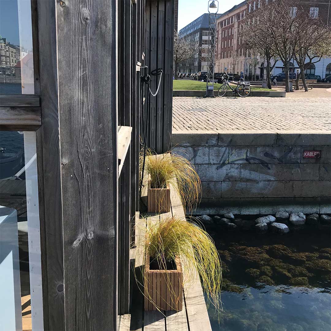 squarely grow wide dark oak outdoor 77256