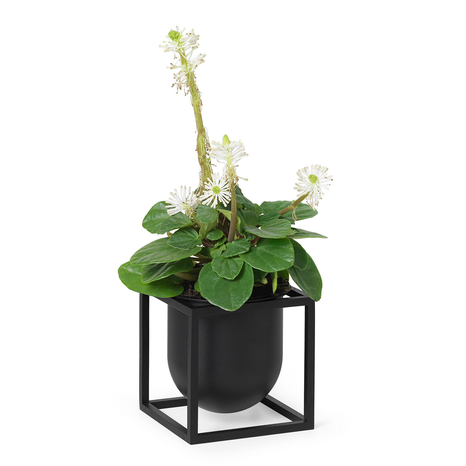byLassen Kubus Flowerpot 10 black 3