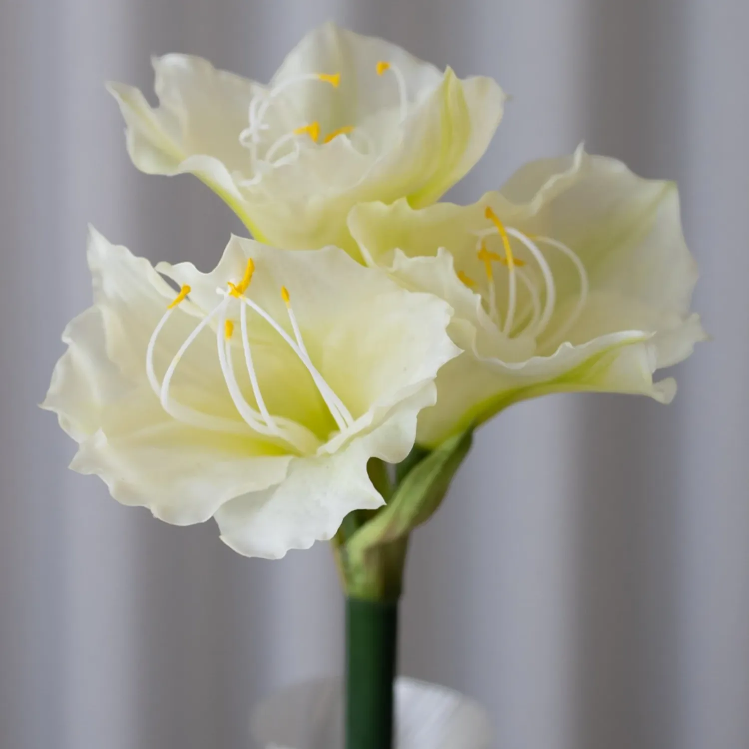BLOOM OBJECTS - Amaryllis Kunstblume weiß