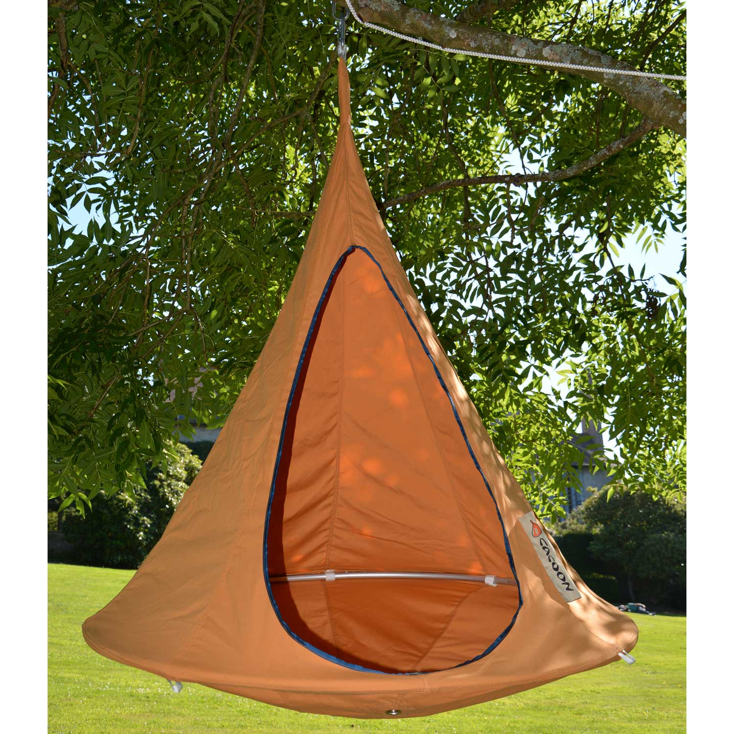 cacoon bonsai mango 27935