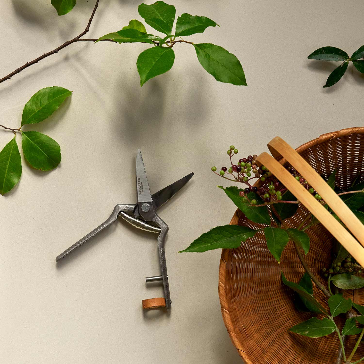 menu pallares gartenschere gruen 93301