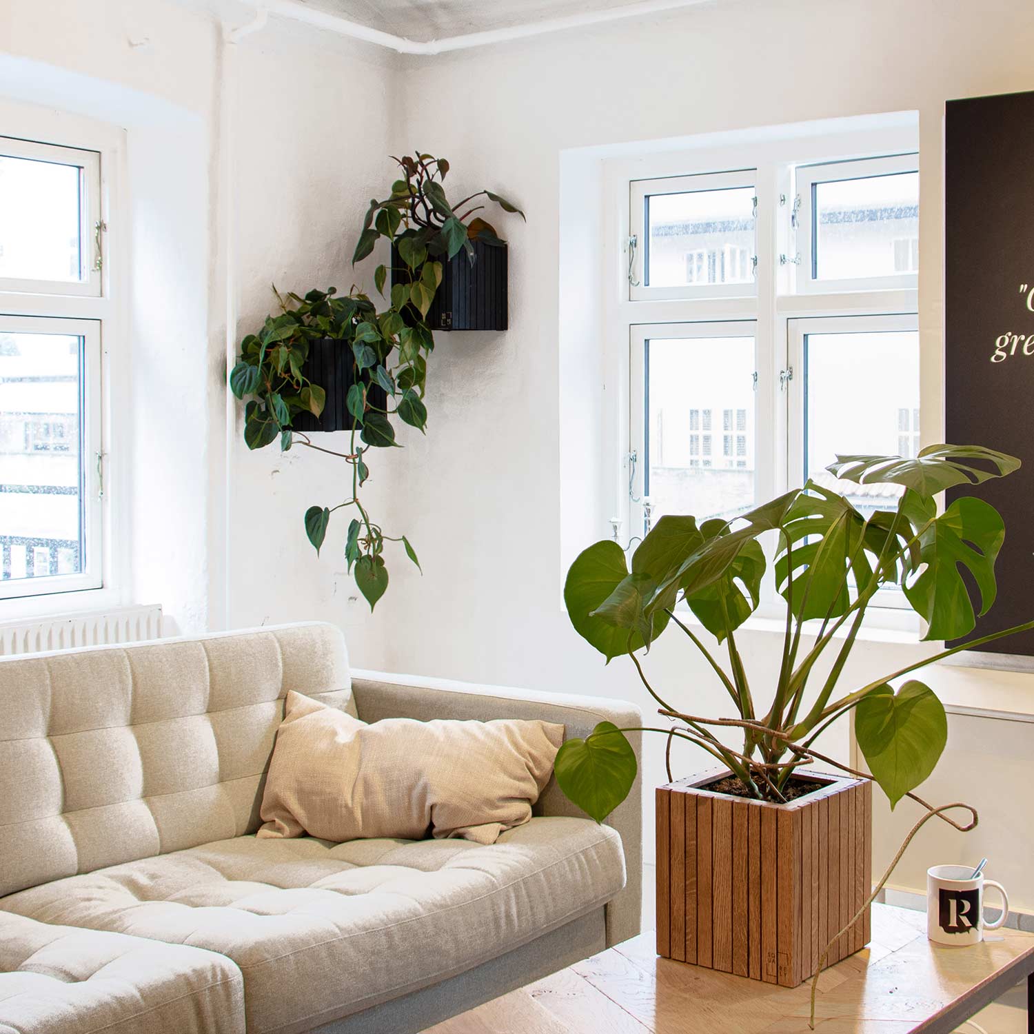 squarely grow on pflanzgefaess 77223