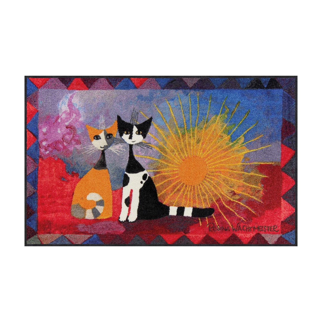 salonloewe noi due wohnmatte mittel freisteller 90238