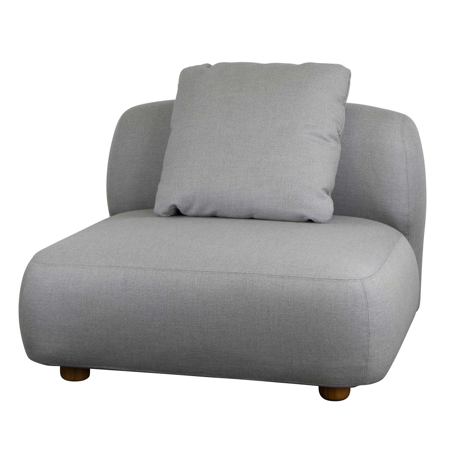 cane line capture einzelmodul 55404AITL 98734