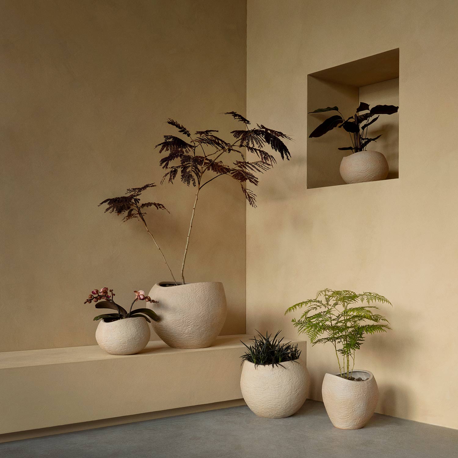 menu plantas blumentop h32 uebersicht mit pflanzen 93315