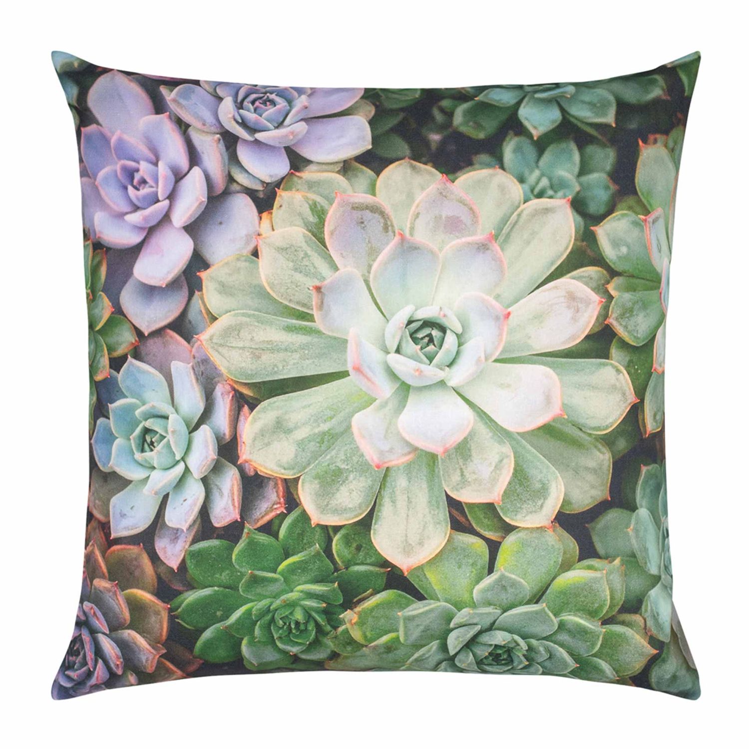 pad - Echeveria Kissenhülle