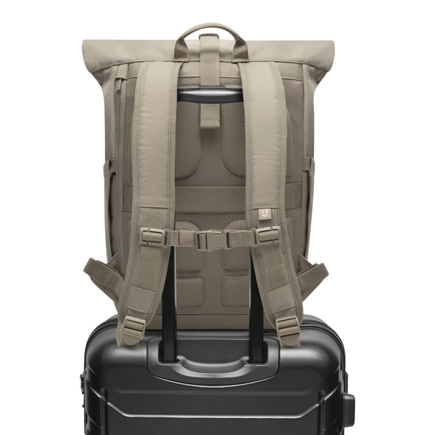 Johnny Urban - Allen Large 2.0 Rolltop Rucksack desert grey