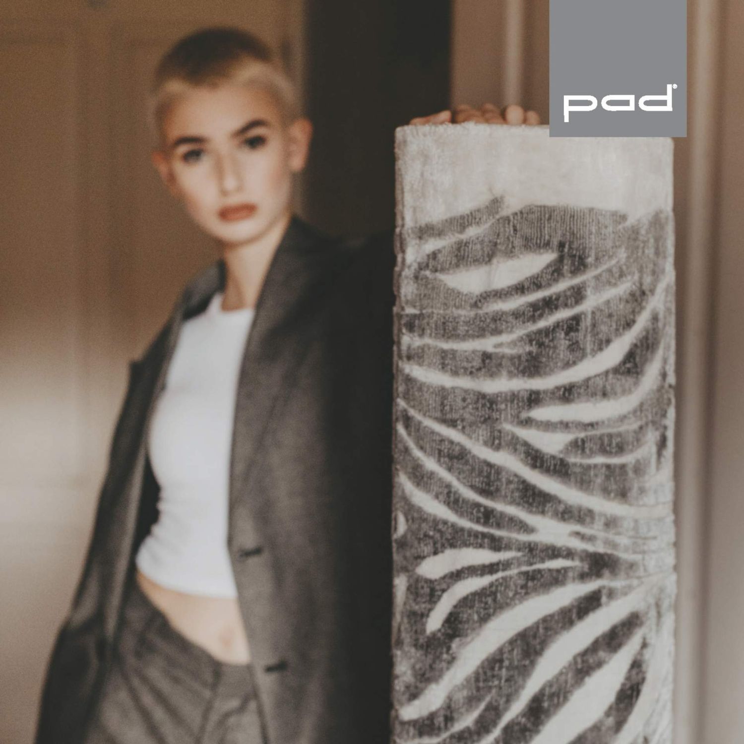 pad - Zebra Teppich 200 x 300 cm grau