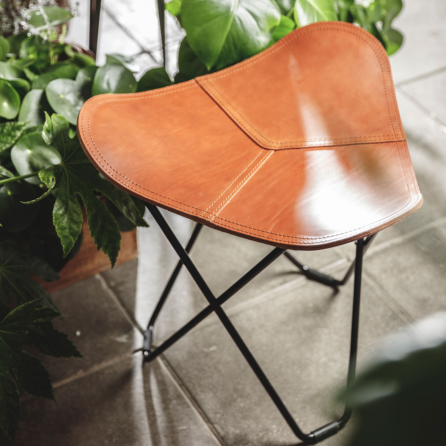 flying gosse pampa cuero 67930